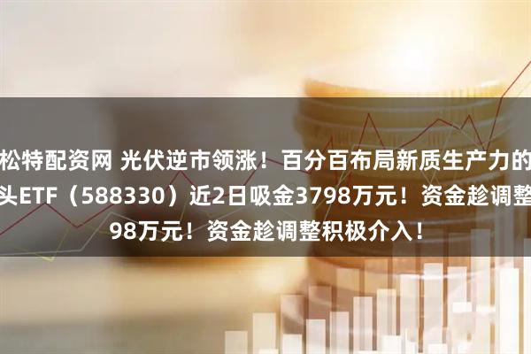 松特配资网 光伏逆市领涨！百分百布局新质生产力的——双创龙头ETF（588330）近2日吸金3798万元！资金趁调整积极介入！