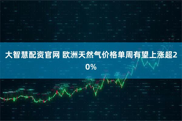 大智慧配资官网 欧洲天然气价格单周有望上涨超20%