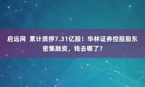 启远网  累计质押7.31亿股！华林证券控股股东密集融资，钱去哪了？