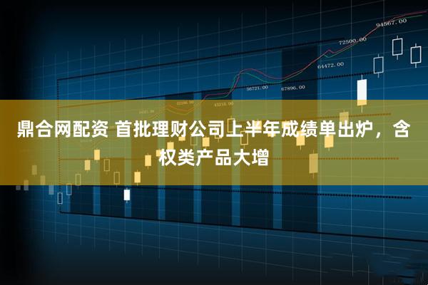 鼎合网配资 首批理财公司上半年成绩单出炉，含权类产品大增